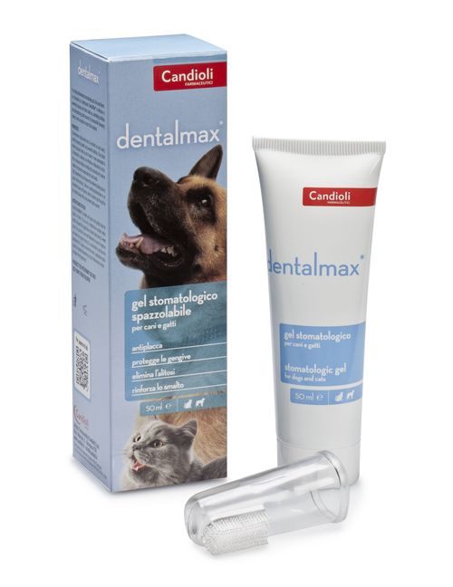Candioli Dog Dentalmax Gel Stomatologico Spazzolabile