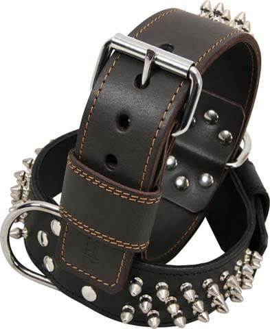 Zolux Cane Collare Staff Nero 3 File