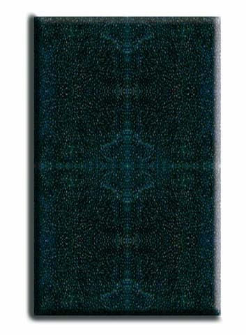 Cartuccia Spugna Niagara