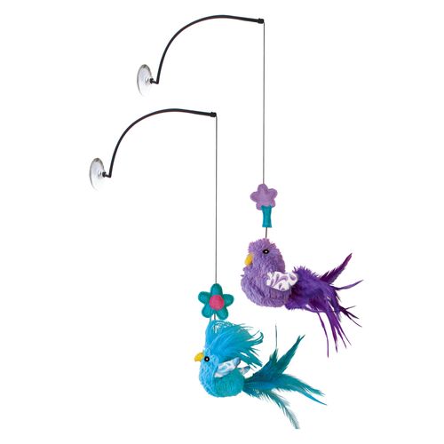 KONG Gatto Window Teaser