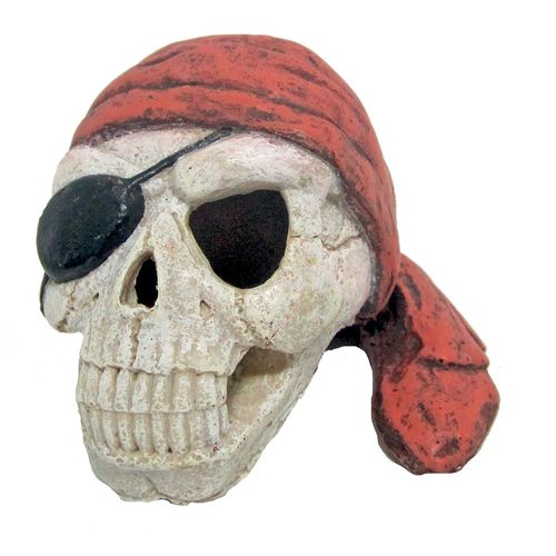 Teschio Pirata con Benda