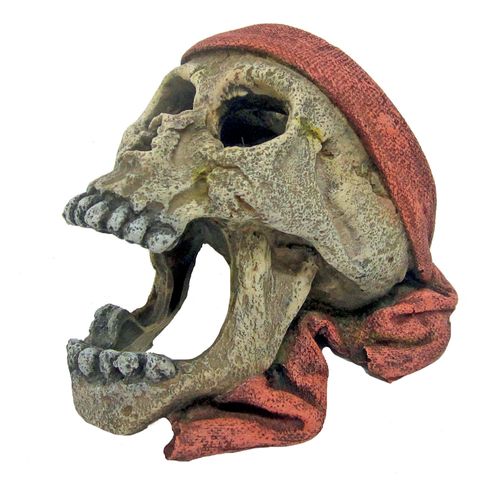 Teschio Pirata con Bandana