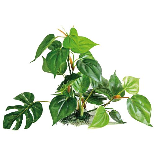 Plant Replica Anubias