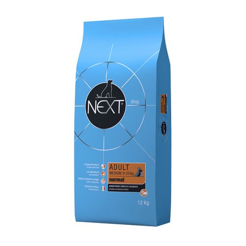 Next Normal Dog Medium