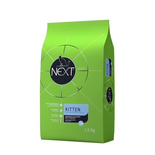 Next Kitten