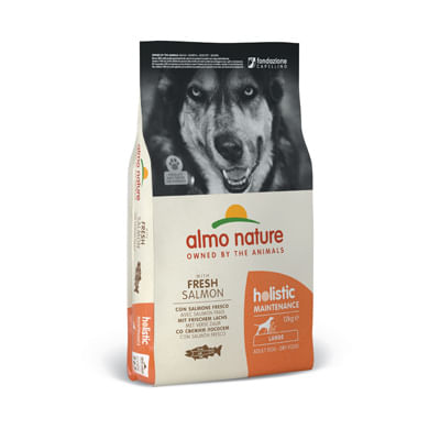 Almo Nature Holistic Maintenance Dog Large Salmone e Riso