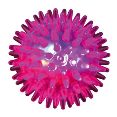 Trixie Palla Cane Riccio Lampeggiante