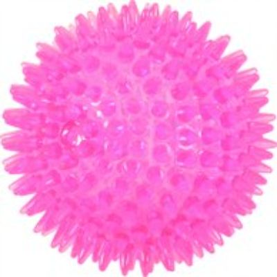 Gioco Cane Palla Tpr con Punte Fucsia