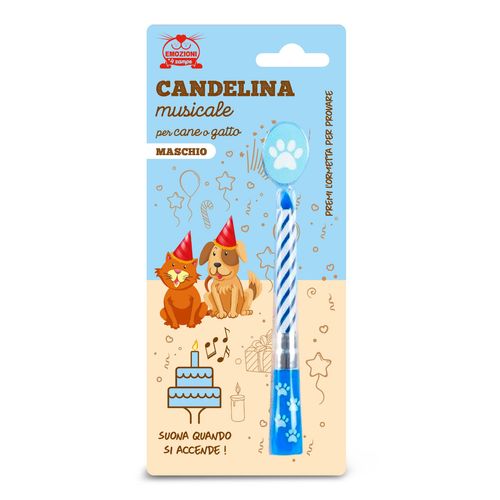 Candelina Musicale Maschio