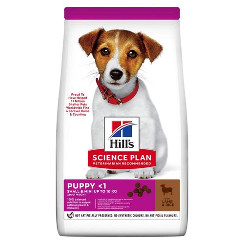 Hill's Science Plan Small&Mini Puppy con Agnello