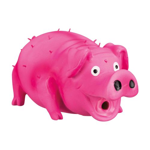 Maiale a Pelo Ispido CM.21