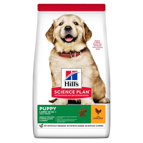 Hill's Science Plan Puppy Large Breed Pollo