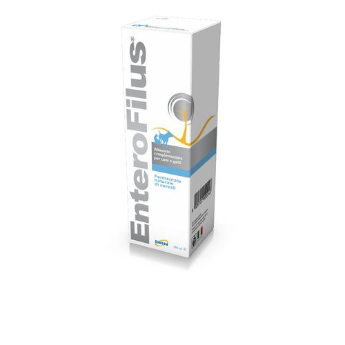 Enterofilus Intestino