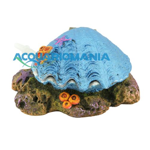 Amtra Decoro Acquario Action Tesoro Mix