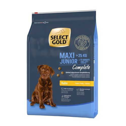 Select Gold Complete Maxi Junior Pollo