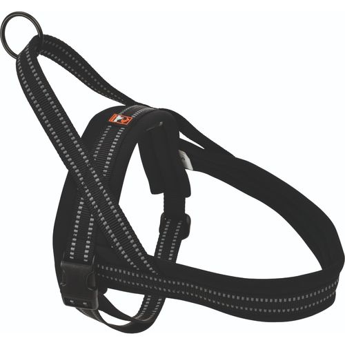 Dogs Creek Pettorina Norvegese Nera