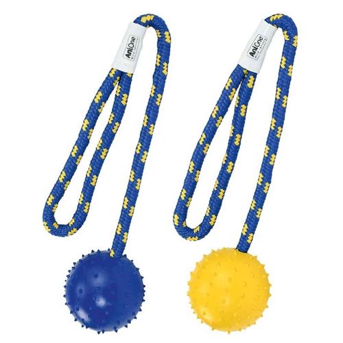 AniOne Giocco Cane Corda con Palla