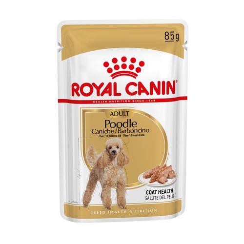 Royal Canin Barboncino Dog Busta Multipack 48x85G