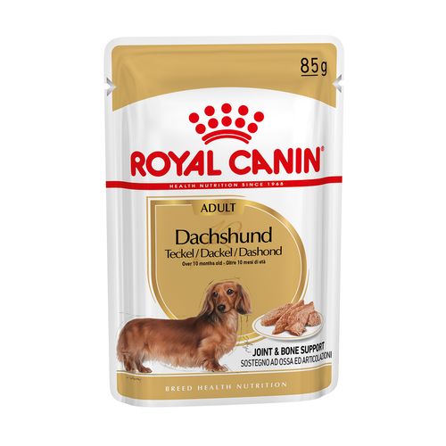 Royal Canin Bassotto Dog Busta Multipack 48x85G