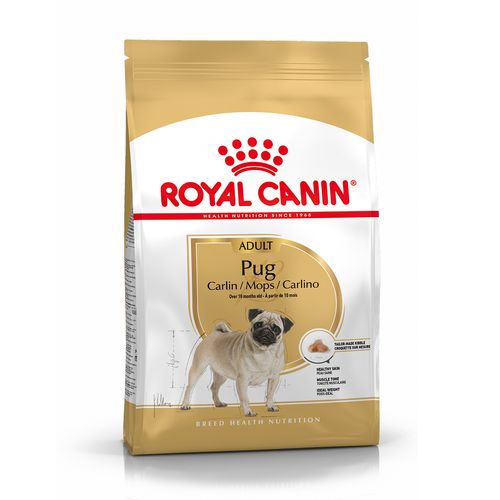 Royal Canin Pug Adult