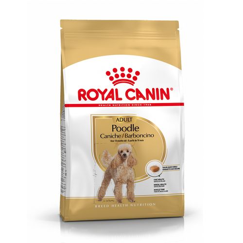 Royal Canin Barboncino Adult Alimento Completo per Cani di Razza Adulti e Maturi Oltre 10 Mesi di Età
