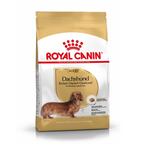 Royal Canin Bassotto Adult Alimento Completo per Cani di Razza Adulti e Maturi Oltre 10 Mesi di Età