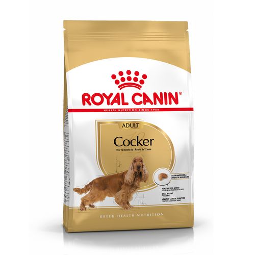 Royal Canin Cocker Adult Alimento Completo per Cani di Razza Adulti e Maturi Oltre 12 Mesi di Età