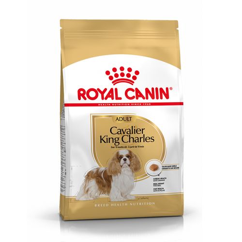 Royal Canin Cavalier King Spaniel Adult Alimento Completo per Cani di Razza Adulti e Maturi Oltre 10 Mesi di Età