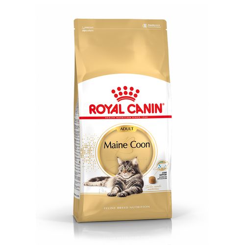 Royal Canin Maine Coon