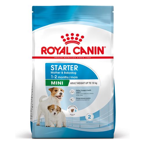 Royal Canin Mini Starter M&B Alimento completo per cagne di taglia piccola fino a 10 kg ed cuccioli in svezzamento fino a 2 mesi di età