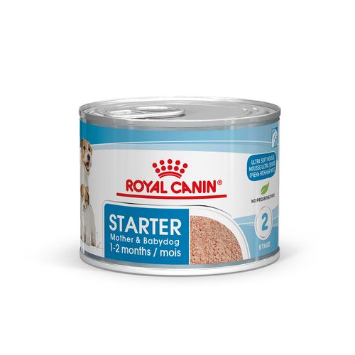 Royal Canin Starter Mother & Baby Dog Lattina Multipack 12x195G