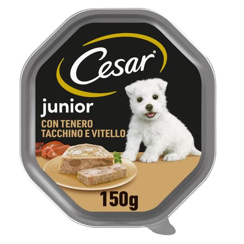 Cesar Puppy Vaschetta Multipack 14x150G