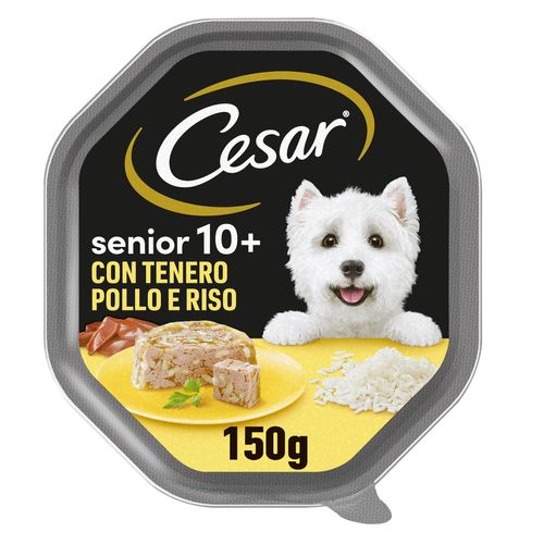 Cesar Senior Dog in Gelatina Vaschetta Multipack 14x150G