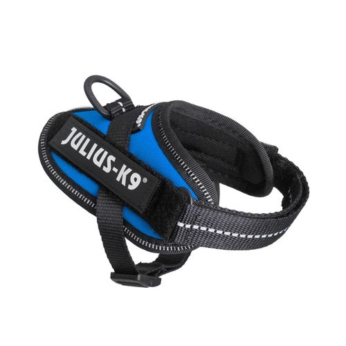 Pettorina Julius-K9 IDC Powerharness Blu