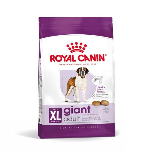 Royal Canin Giant Adult Alimento Secco Completo per Cani Adulti di Taglia Gigante