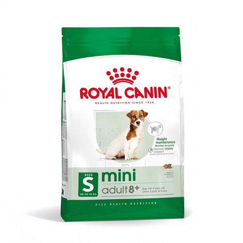 Royal Canin Mini Adult 8+ Alimento Secco Completo per Cani Maturi di Piccola Taglia