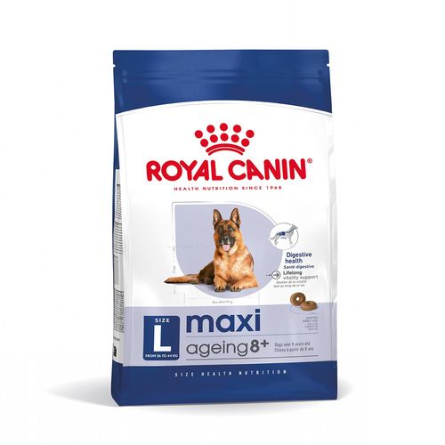 Royal Canin Maxi Ageing 8+ Alimento Secco Completo per Cani Anziani di Taglia Grande