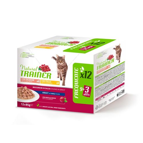 Natural Trainer Cat Busta Multipack 12X85G