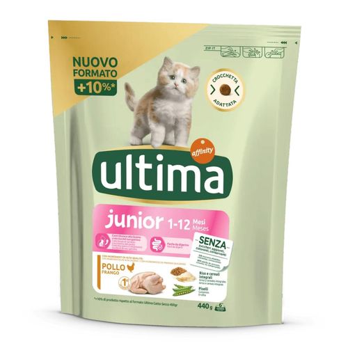 Ultima Cat Junior