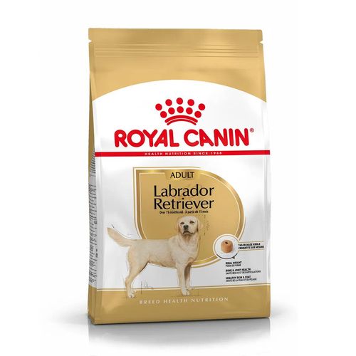 Royal Canin Labrador Retriever Adult