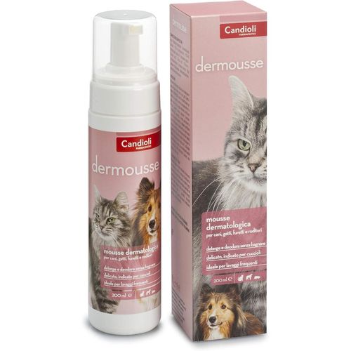 Dermousse Mousse Dermatologica