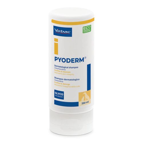 Pyoderm Shampoo Dermatologico