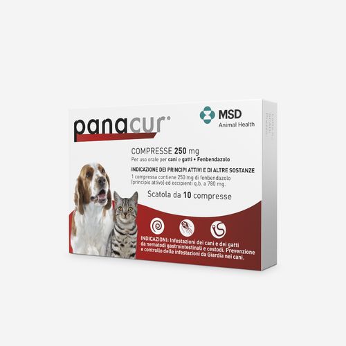 Panacur Compresse 250 MG