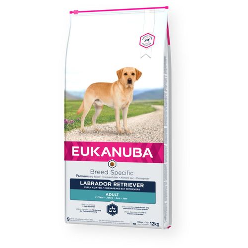 Eukanuba Dog Adult Breed Specific Labrador Retriever al Pollo