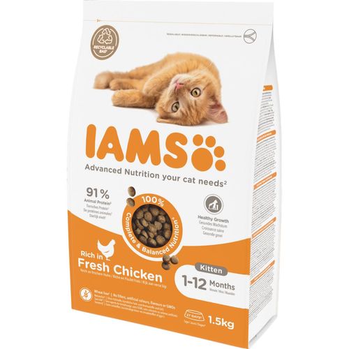 Iams Kitten Pollo