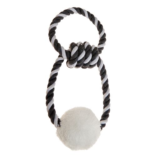 Gioco Cane Eco Palla