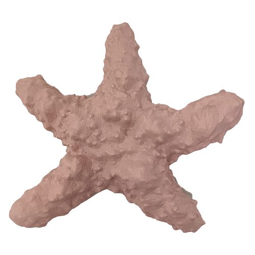 Gioco Cane Gomma Stella Marina