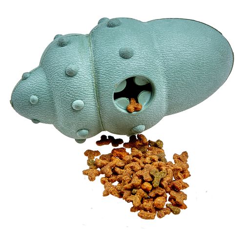 Gioco Cane Gomma Conchiglia