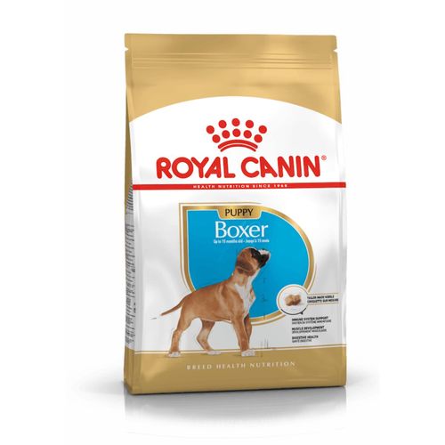 Royal Canin Puppy Boxer Alimento Completo per Cuccioli fino a 15 Mesi di Età