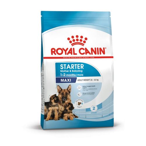 Royal Canin Starter Mother & Babydog Maxi
